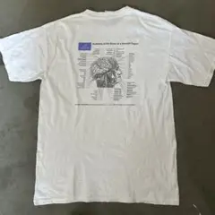 00s GILDAN 脳の解剖図 人体模型 企業 Tシャツ M
