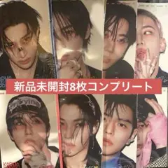 KARMA 新品未開封 アルバム アコーディオン 8枚 コンプリート セット