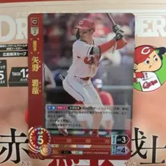 矢野雅哉 ドリームオーダー 赤き鯉戦士 広島東洋カープ