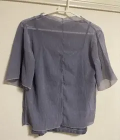 紫シアートップス