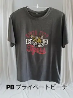 PB プライベートビーチ 虎 タイガー プリント半袖Tシャツ グレー