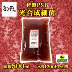 【免疫強化水質浄化】4倍濃縮 光合成細菌(PSB)500ml クロレラ好相性BA