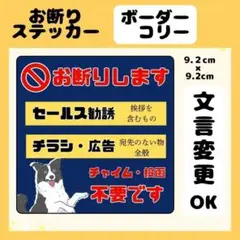 【ボーダーコリー】お断りステッカー　チラシ　勧誘　セールス　広告　高耐久　防水