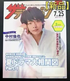 【非売品】ザテレビジョン 2025年7月12日号 中村倫也 表紙 夏ドラマ特集
