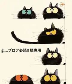 g....プロフ必読!! 様專用