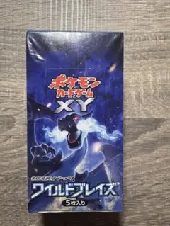 ポケモンカードゲーム 未開封XY ワイルドブレイズ 20パック入り