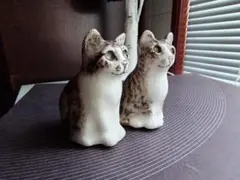 ケンジントンキャット (小) 2匹まとめて