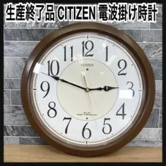 希少　生産終了品　CITIZEN　シチズン　電波掛時計 ネムリーナサニー