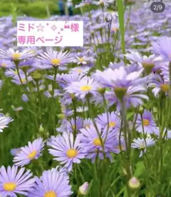 *花柄*ミニ封筒*handmade*10枚セット*平袋付き*
