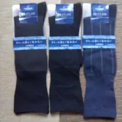 Item thumbnail for item c376b22b-db89-4354-889e-86e427e8a06c