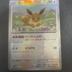 イーブイ　マスターボール　テラスタルフェス