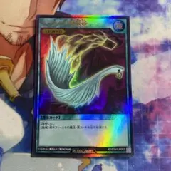 ハーピィの羽根帚 ウルトラ g3