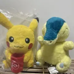 ポケットモンスター　ピカチュウとヒノアラシ ぬいぐるみセット