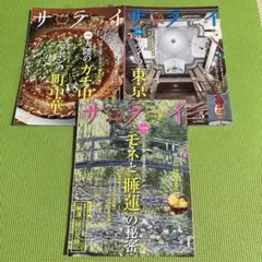 サライ 2025年1 3 5月　3冊セット
