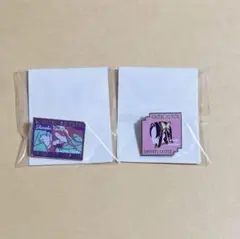 鬼滅　胡蝶姉妹　カナエ　しのぶ　劇場　ピンズ