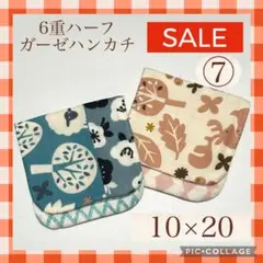 Item thumbnail for item 2547a329-8f5d-4cff-9308-468087b2bb68