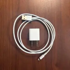 Apple iPhone 純正品 正規品 充電器 ライトニング コード ケーブル