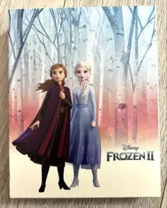 アナと雪の女王 アナと雪の女王2 2枚セット