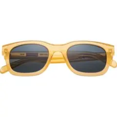 Item thumbnail for item a61b8573-f764-4f3d-b71c-fd56e8d437b4