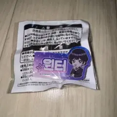 aespa おなまえアクリルバッジ