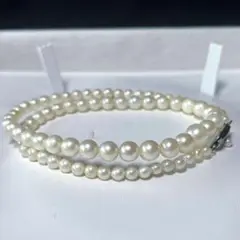 Item thumbnail for item 0efa5e0f-5e88-4854-bcc0-f6575f08e26e