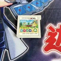3DS ソフト とびだせ どうぶつの森