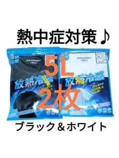 【熱中症対策に♪】ワークマン 放熱冷感Tシャツ半袖 ブラック＆ホワイト 5L