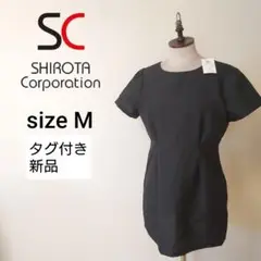 Item thumbnail for item 24ad6f85-61ca-406a-b6ba-948db5838e8d