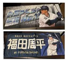 Item thumbnail for item 6dfedeef-f084-4cbe-ae26-7c041b84ad10