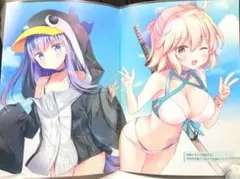 Fateシリーズ フルカラーイラスト集 水着 美少女 同人誌 イラスト本 グッズ