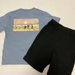 ディズニー上下