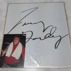 テリー・ゴディー直筆サイン色紙