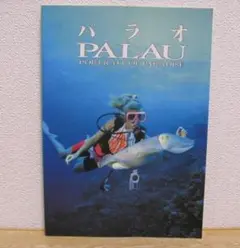 パラオ PORTRAIT OF PARADISE 歴史 自然 ダイビング