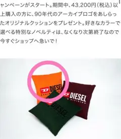 2025年最新】DIESEL クッションの人気アイテム - メルカリ
