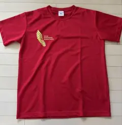 新品未使用　札幌マラソンTシャツ　Lサイズ　スポーツTシャツ　ミズノ