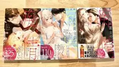 黒弁護士の痴情 3巻セット