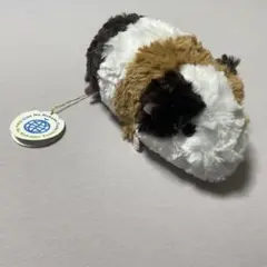 モルモット　ぬいぐるみ