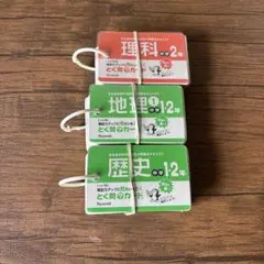 Item thumbnail for item c46c300b-e5c4-4bfb-ba95-aa82e8e1868c