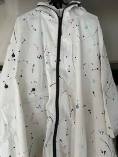 Item thumbnail for item cc706de6-cc1e-4a33-973f-135521708f5e