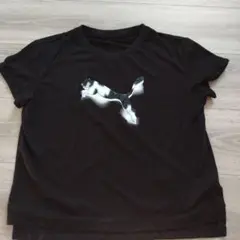 Puma 黒 Tシャツ ロゴプリント150