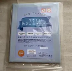 防ダニ枕カバー　43×63cm ブルー系