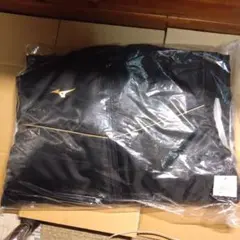 Item thumbnail for item 2181890e-621b-4506-903a-d8e9b28728f2