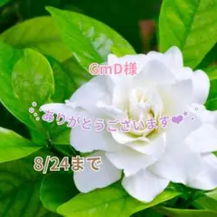 GmD様 おまとめパーツ(˘͈ᵕ ˘͈ *)♡