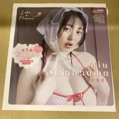 ヤングガンガン 2025年 No.16 白濱美兎 DVD