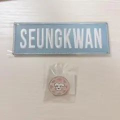 SEVENTEEN SEUNGKWAN ピンバッジ ワッペン seventeen スングァン ワッペン - メルカリ
