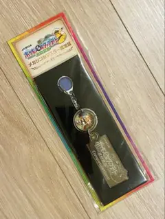ポケモンメガスタンプラリー2025 STAGE3景品　スペシャルキーリング