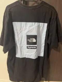 Supreme/The North Face Bandana Tee