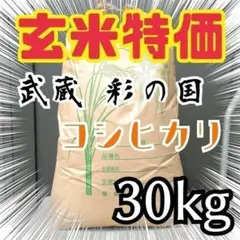 特別セール!玄米限定 令和4年 埼玉県産コシヒカリ 玄米 30kg 美味しいお米