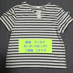 【新品】ワールド　ボーダー　Vネック　Tシャツ　二段袖