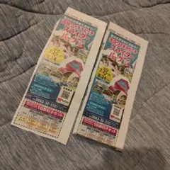 吉良ワイキキビーチ　スライダーパーク　2枚セット